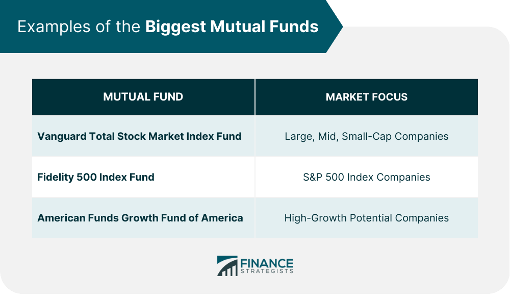 Examples of the Biggest Mutual Funds